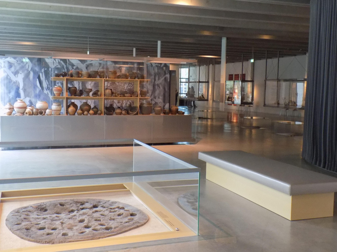 Kelten Romer Museum Manching景点图片