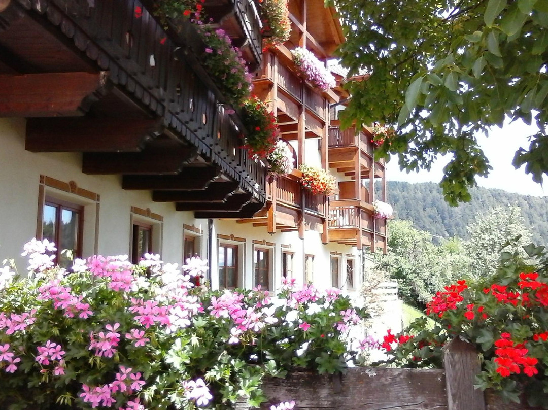 San Genesio Atesino酒店住宿-Gasthof Locher