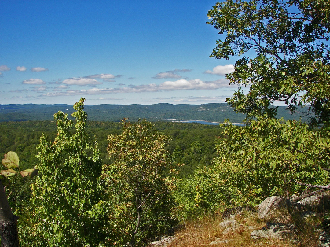 Ramapo Mountain State Forest景点图片