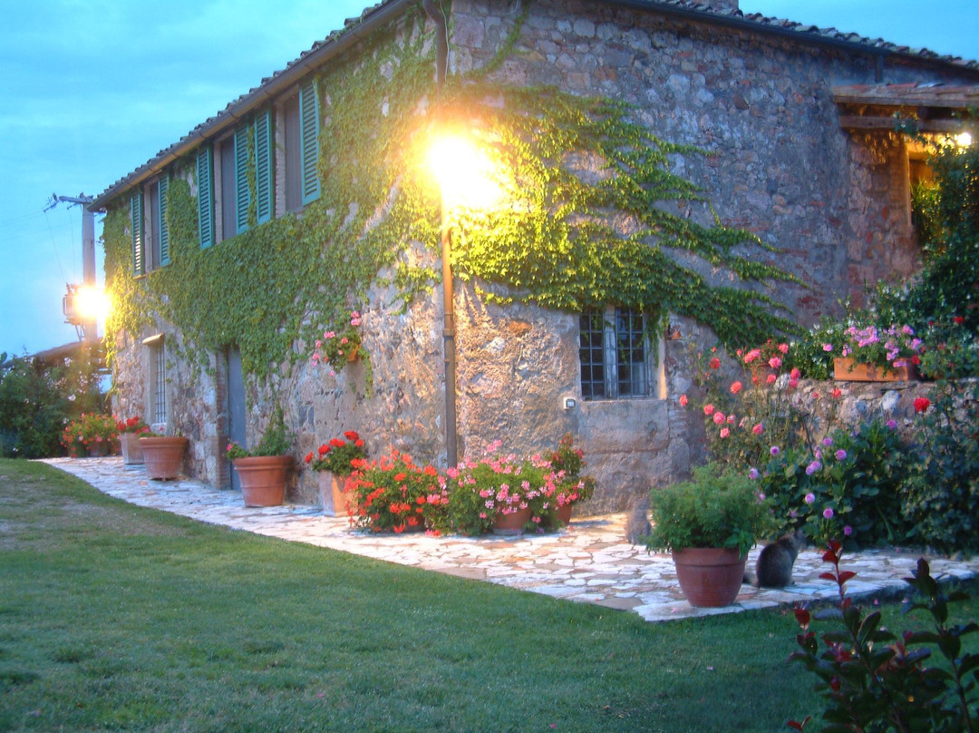 Podere Leccetro