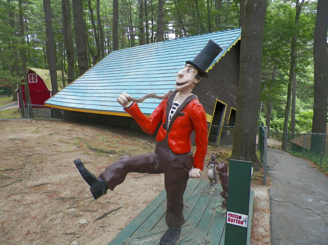 Magic Forest-乔治湖必去景点