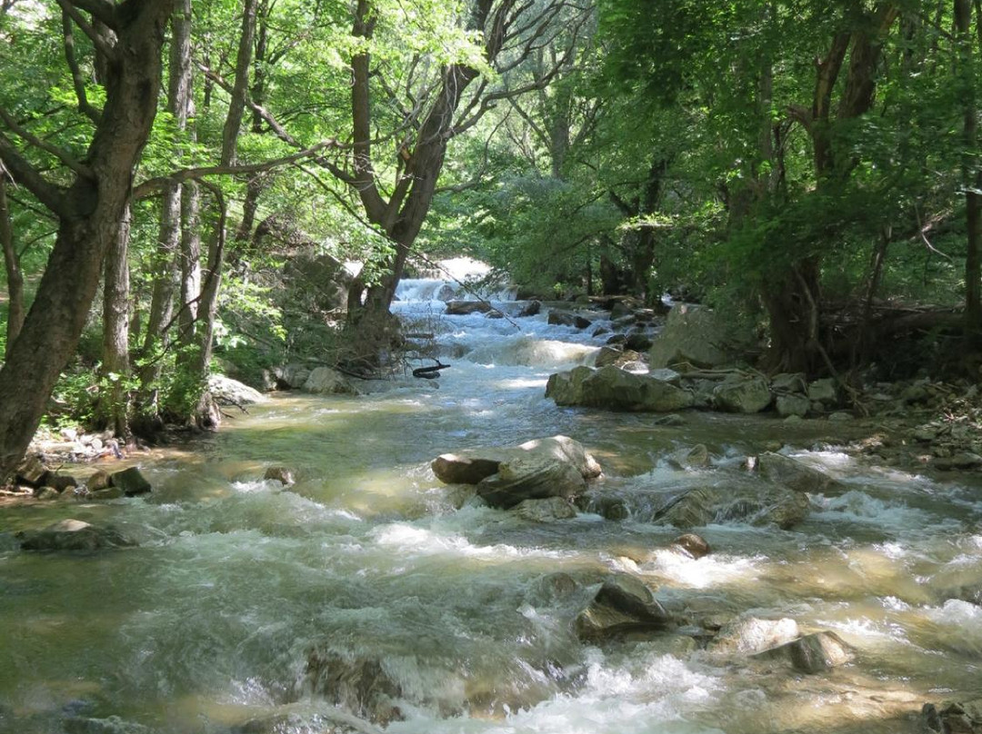 Skokovete waterfalls景点图片