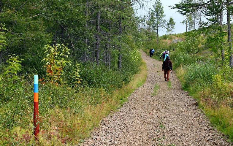 Hallormsstadur Forestry Reserve-埃伊尔斯塔济必去景点