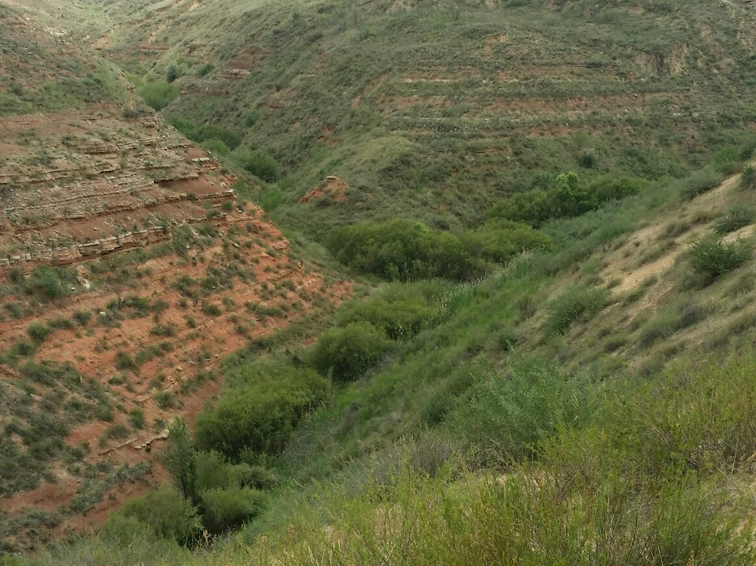 左记沟-盐池县必去景点