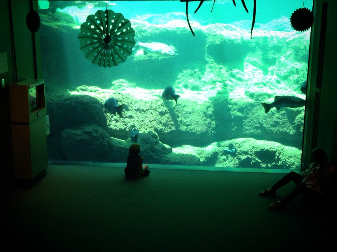 Flint RiverQuarium-奥尔巴尼必去景点