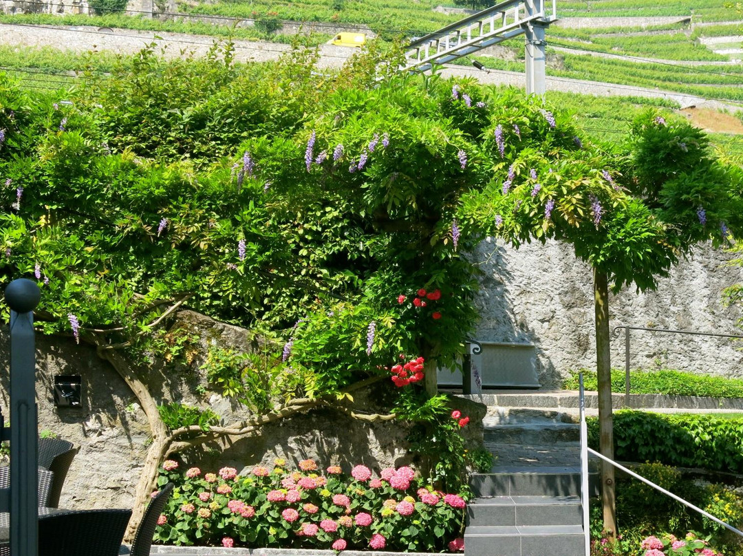 Chateau De Glerolles-St-Saphorin-Lavaux必去景点