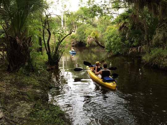 Biotica EcoTours - Day Tours-萨拉索塔必去景点