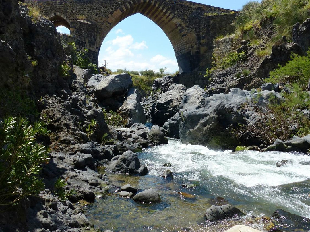 Ponte dei Saraceni景点图片
