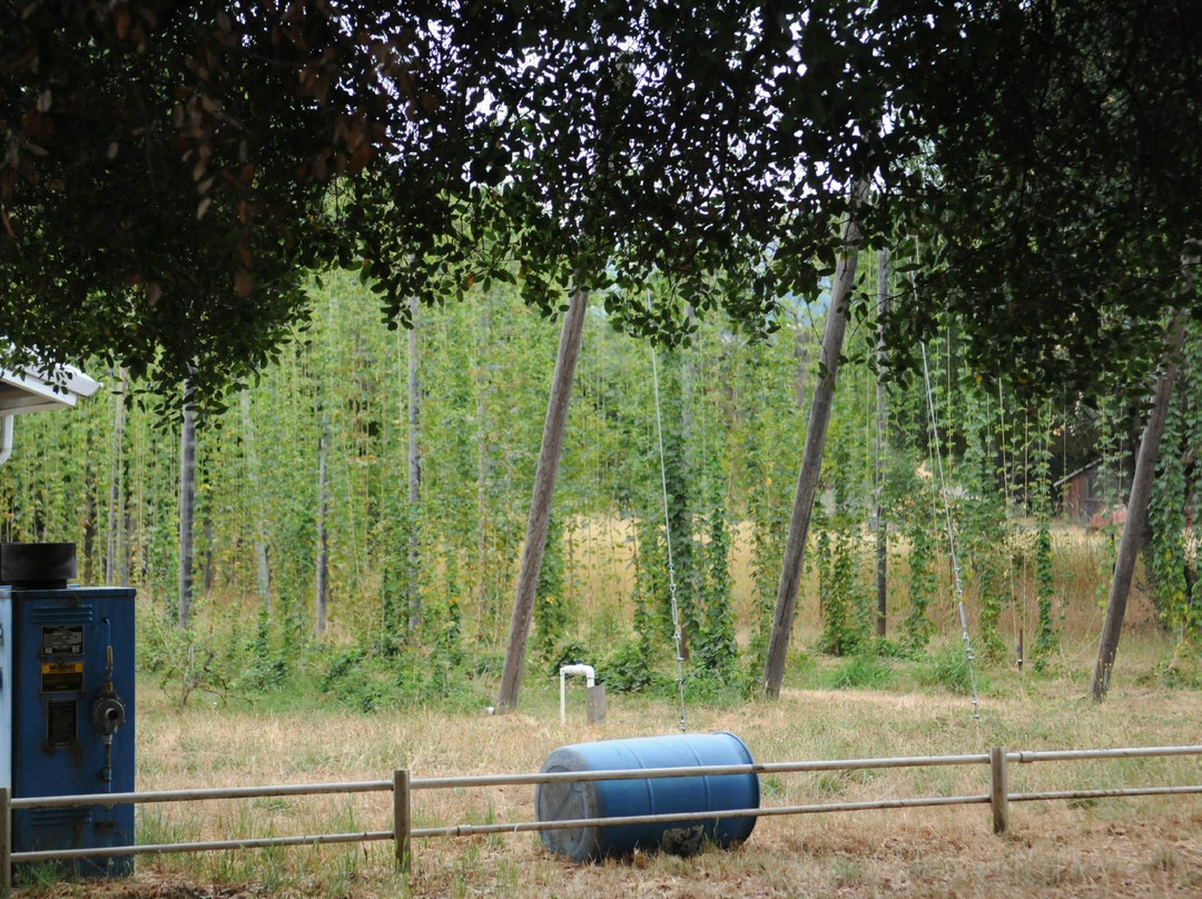 Anderson Valley Brewing Co景点图片