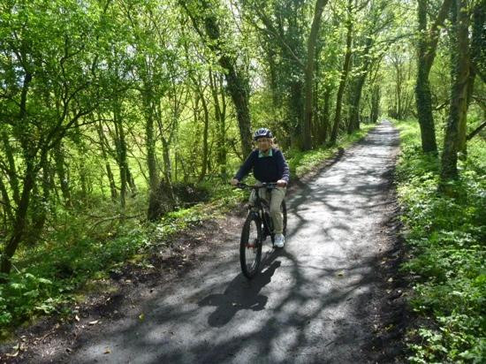 Scarborough to Whitby Rail Trail-斯卡伯勒必去景点