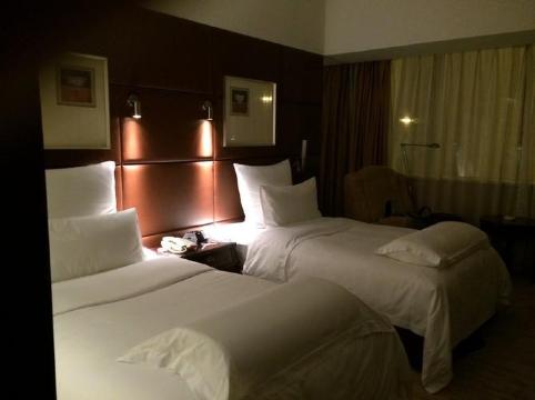 广州白云机场铂尔曼大酒店-客卧