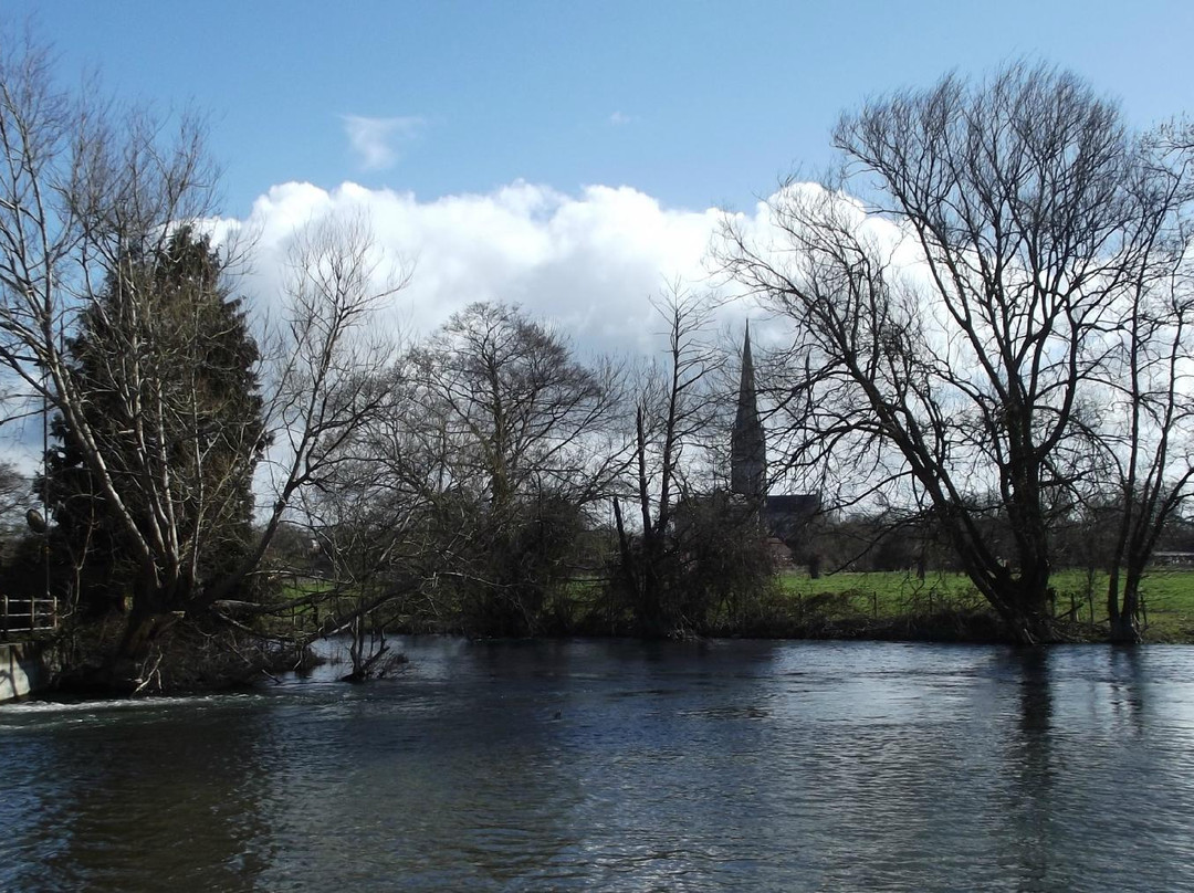 Harnham Water Meadows-索尔兹伯里必去景点