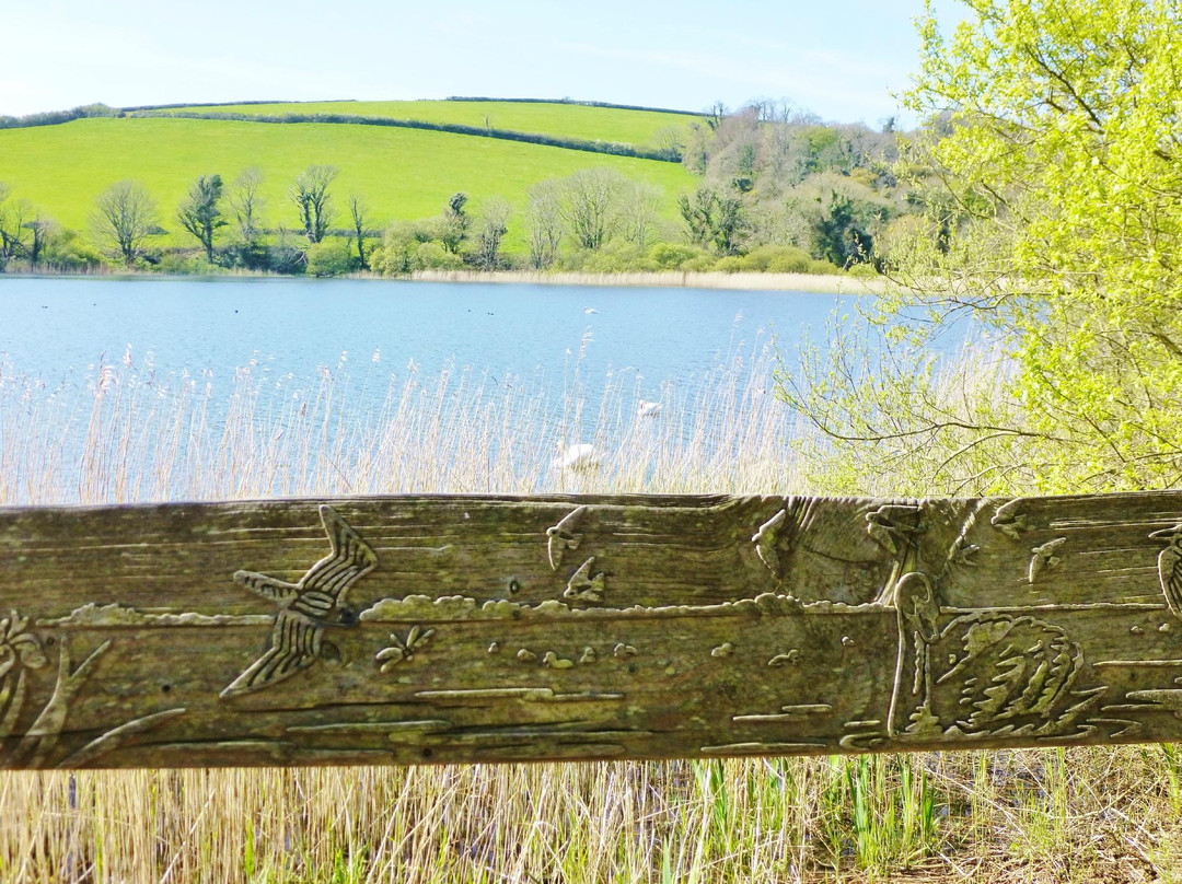 Slapton Ley Field Centre-Slapton必去景点