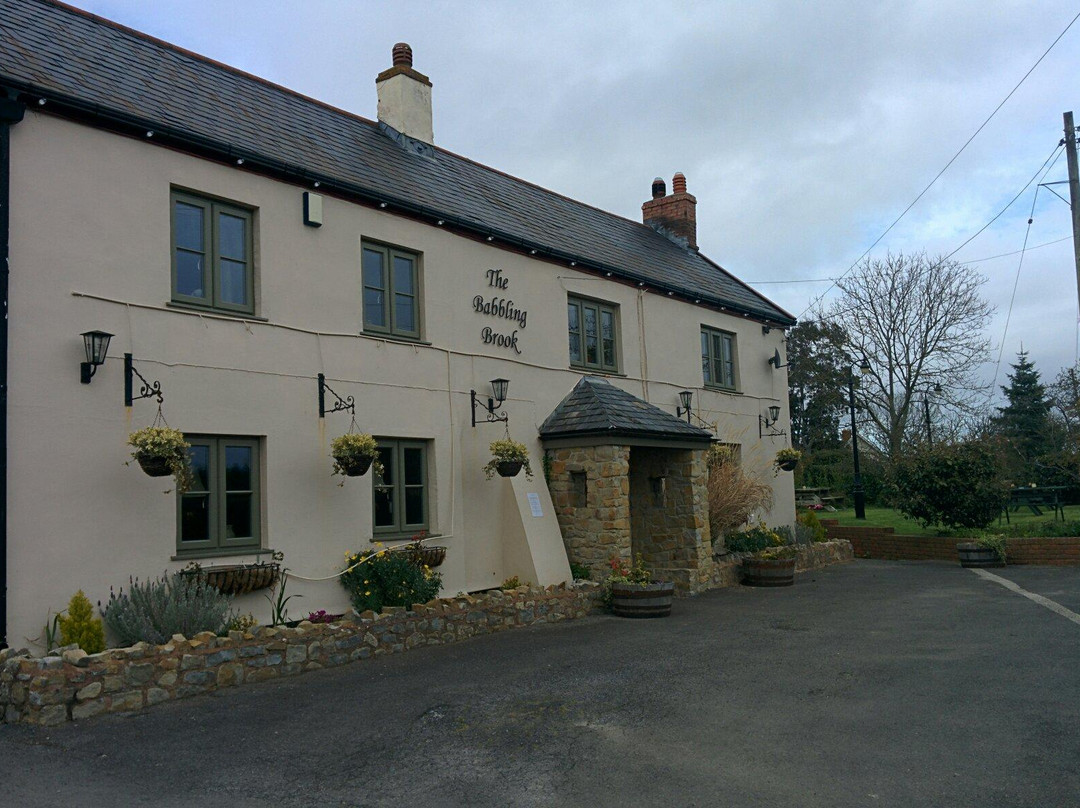 The Babbling Brook主图