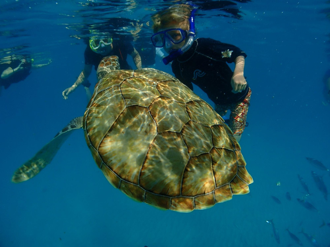 Cliff Sharker-奥伊斯廷斯必去景点