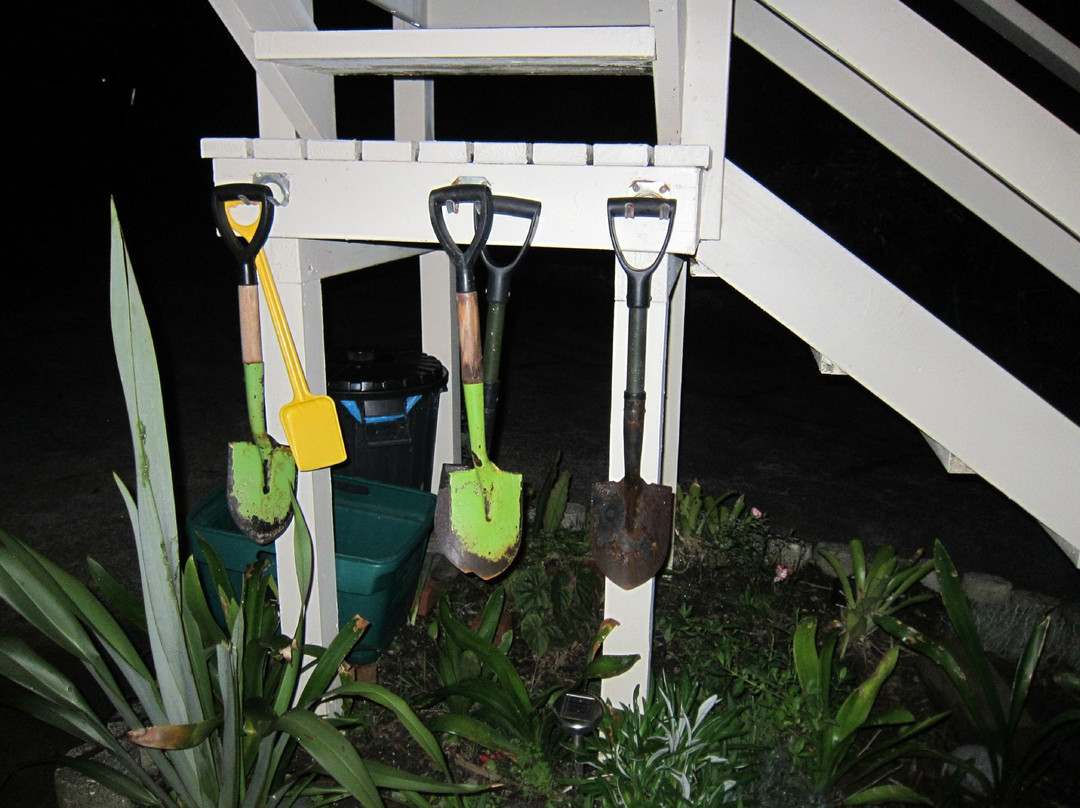 Auntie Dawns Place主图