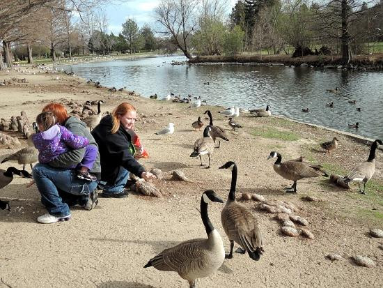 Ann Morrison Park-博伊西必去景点