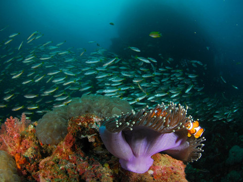 GoDive浮潜-兰塔岛必去景点