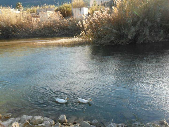 Blanca Club de Piraguismo-Blanca必去景点