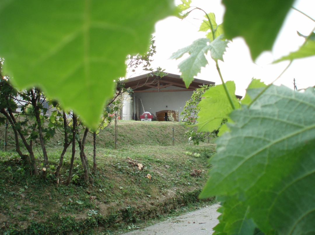 Fiegl Winery景点图片