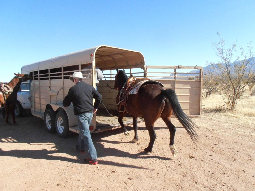 Henson Stables-Amado必去景点