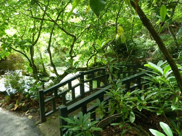 Glenfalloch Gardens-但尼丁必去景点