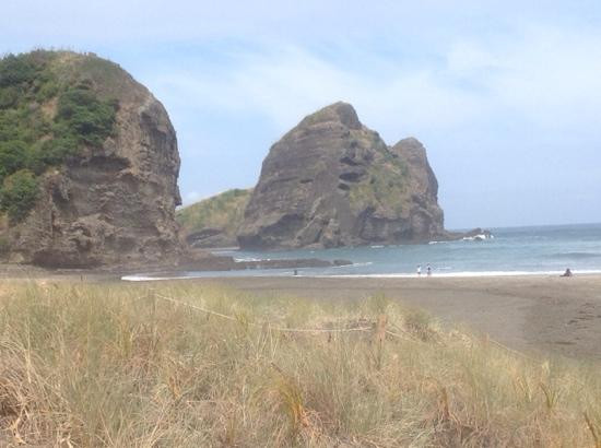 Milestone Tours-奥克兰中心地区必去景点