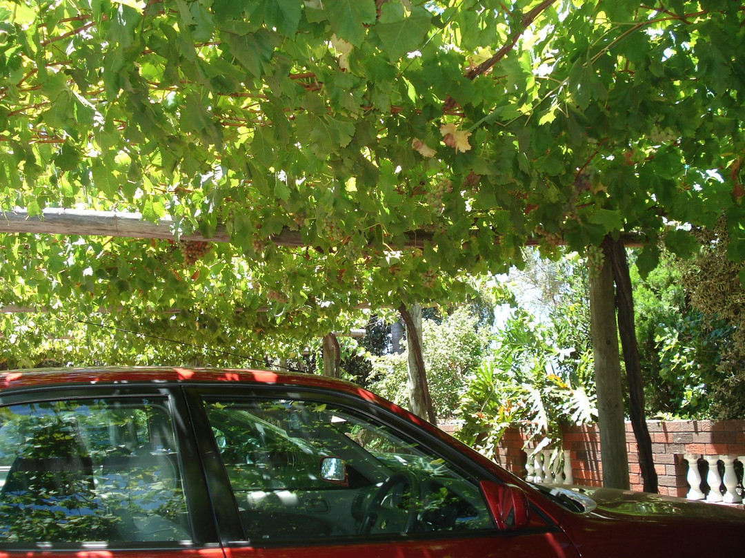 天鹅河历史路径