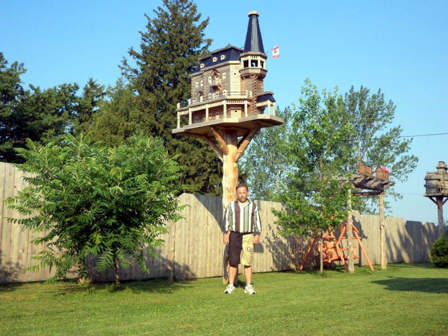 Extreme Birdhouses景点图片