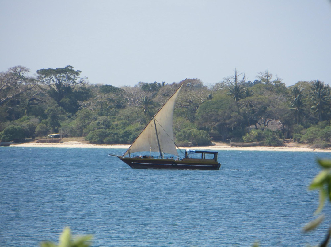Wasini's Blue Whale Boat Operators-Wasini Island必去景点