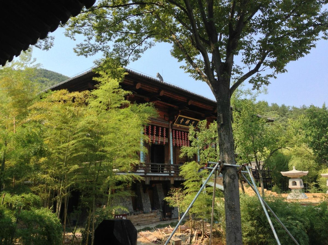 大唐贡茶苑-长兴必去景点