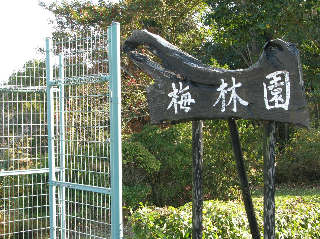 Miyuki Park-嬉野市必去景点