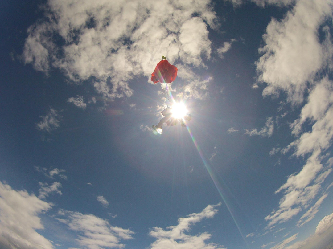Sky Dive Pamiers-Pamiers必去景点