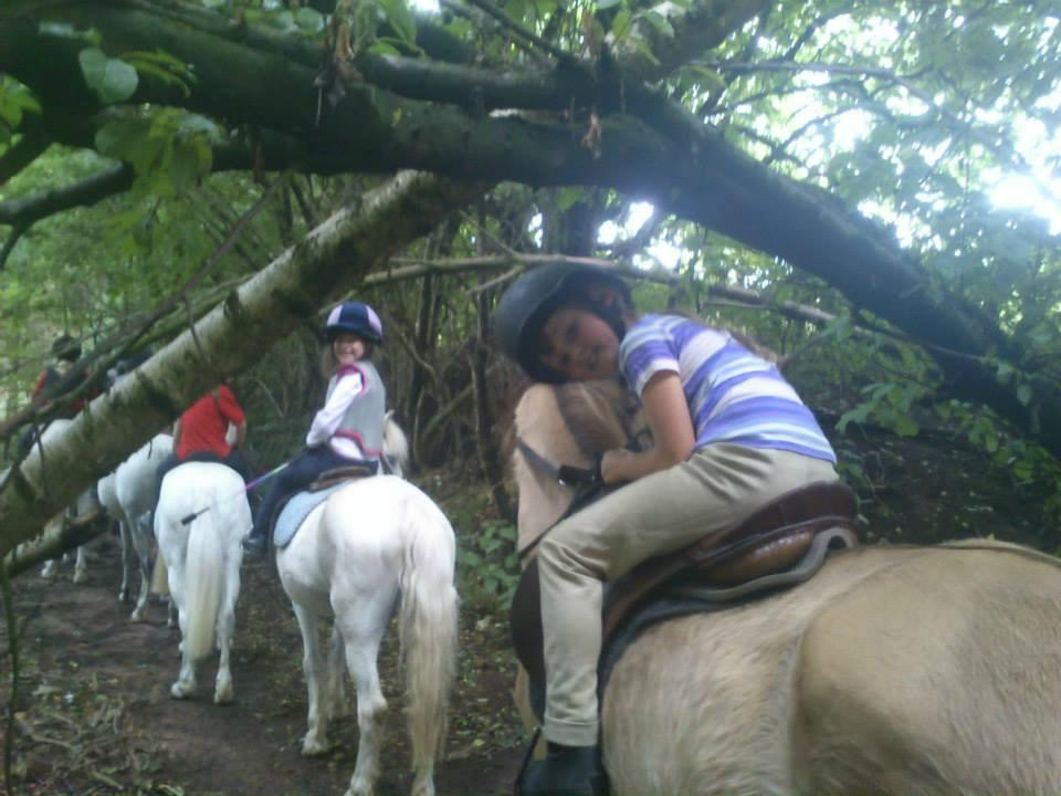Bank House Equestrian - Private Rides景点图片
