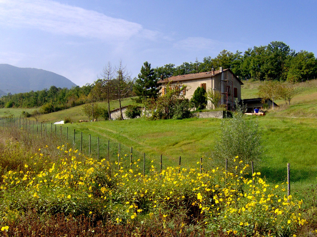 B&B DolceAcqua