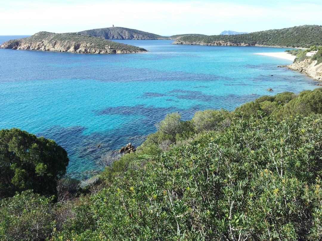 Spiaggia di Tuerredda-Teulada必去景点