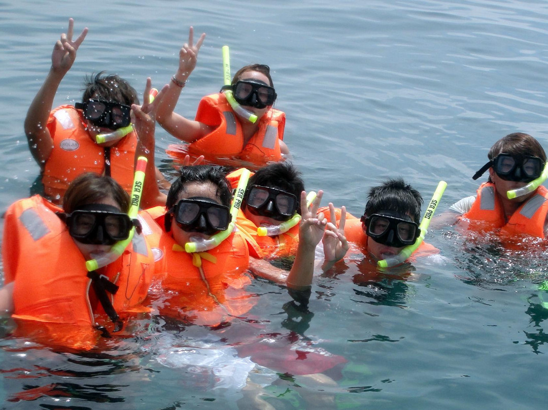 婆罗州快捷潜水-仙本那必去景点