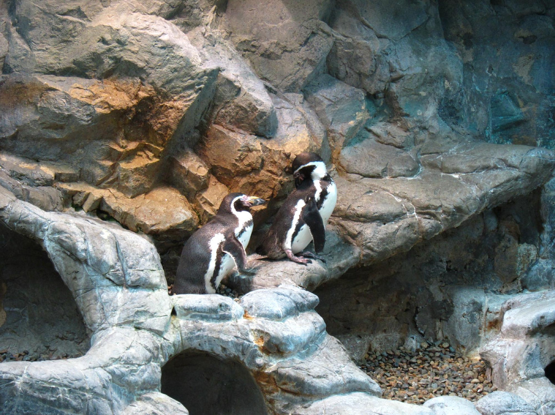 尼亚加拉水族馆-尼亚加拉大瀑布必去景点