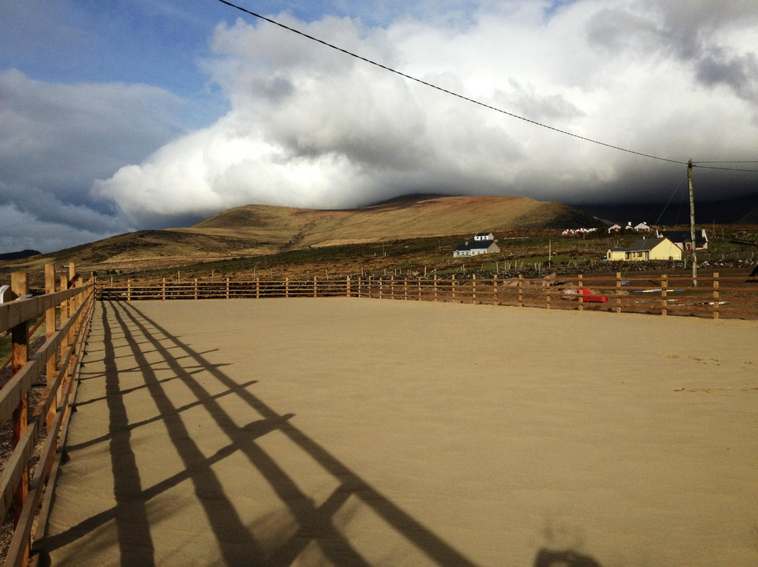 Sea View Equestrian-Ballydavid必去景点