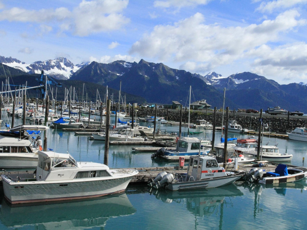 Seward Boat Harbor-苏厄德必去景点