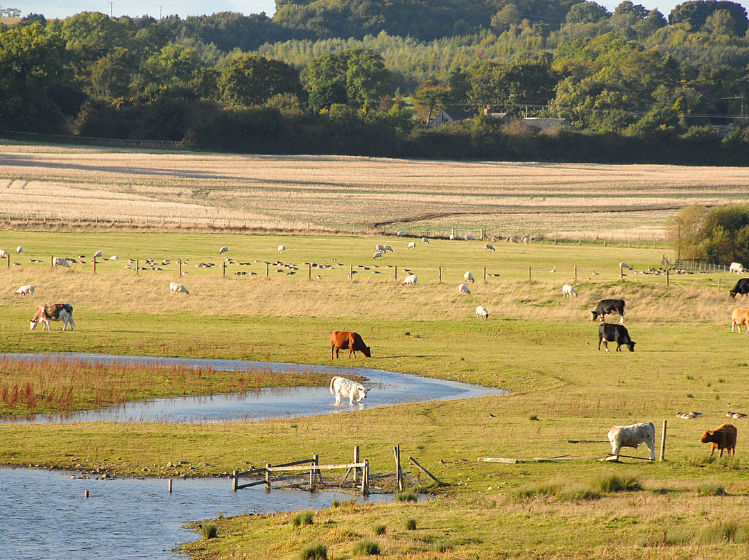 Nosterfield Nature Reserve景点图片