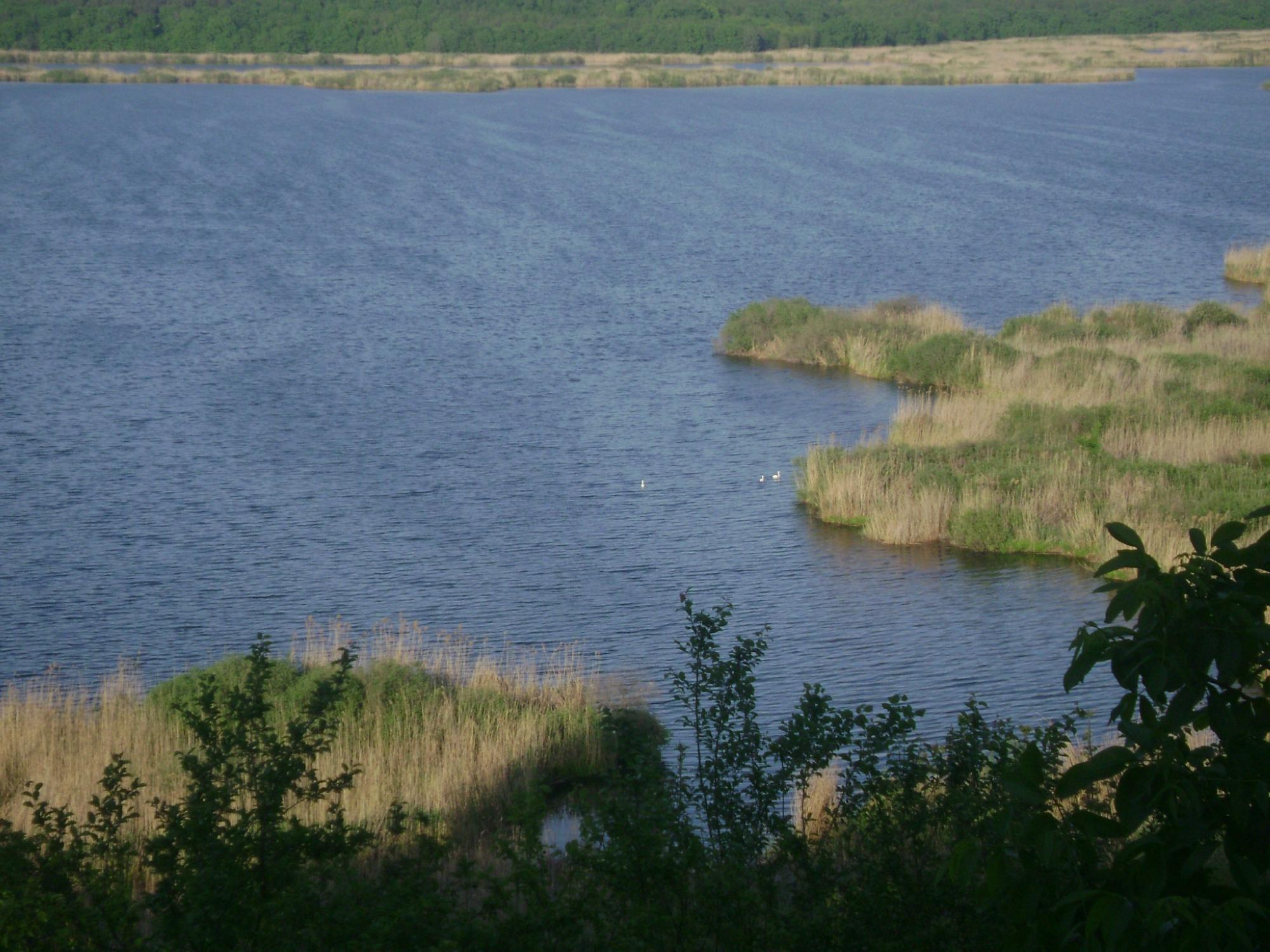 Pelican Lake Guesthouse Environmental Project Centre-泳池