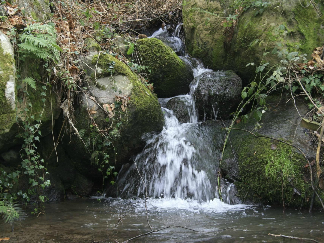 Podere Tepolino