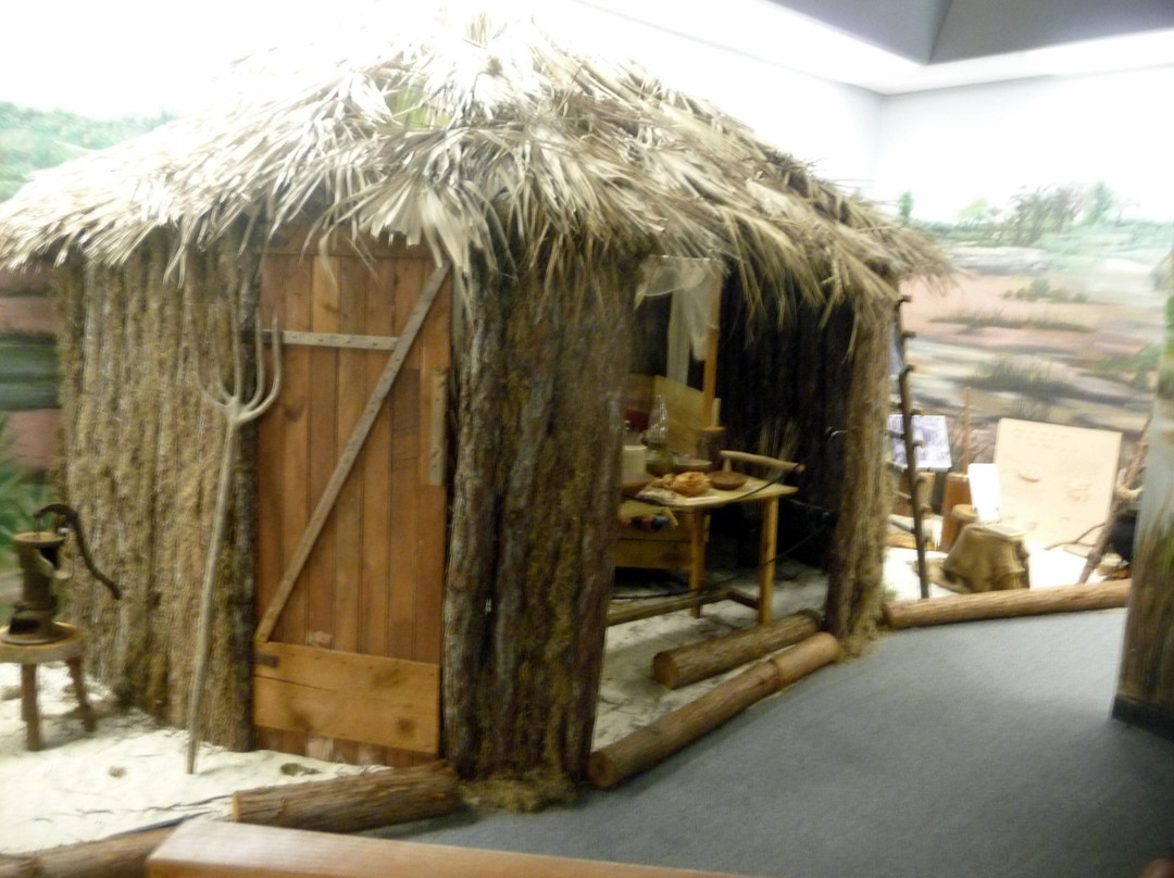 Brevard Museum of History and Natural Science景点图片