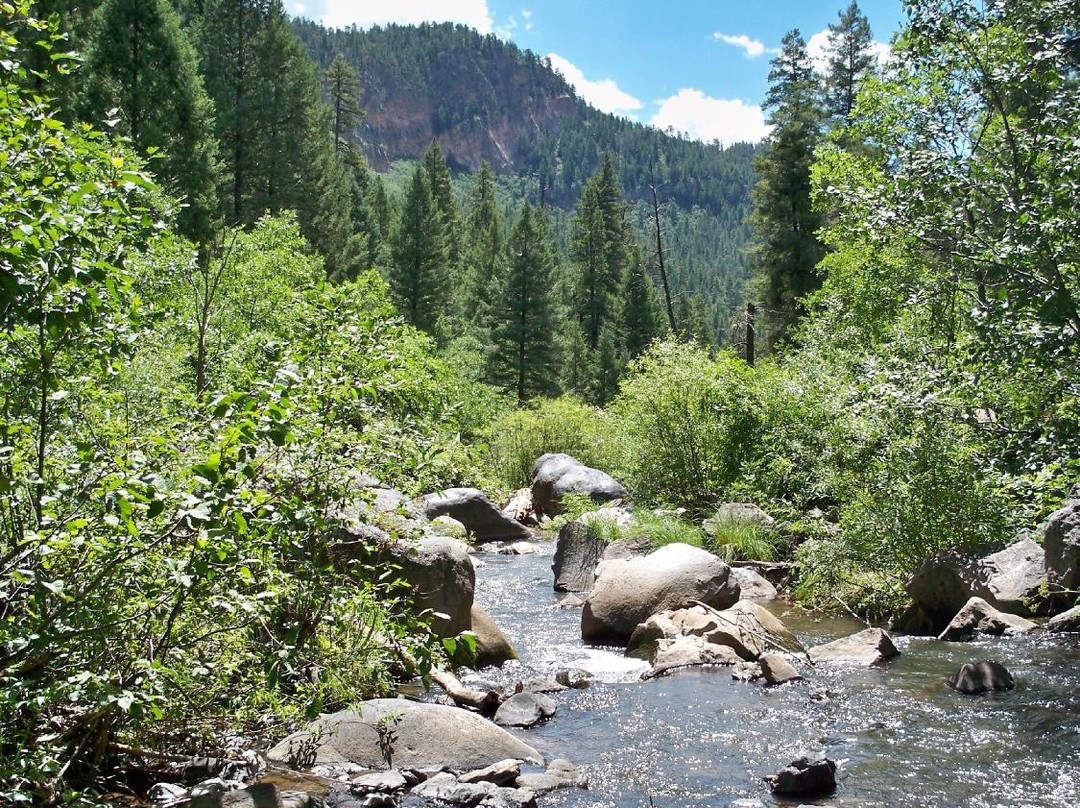 Jemez Mountain Trail-Jemez Springs必去景点