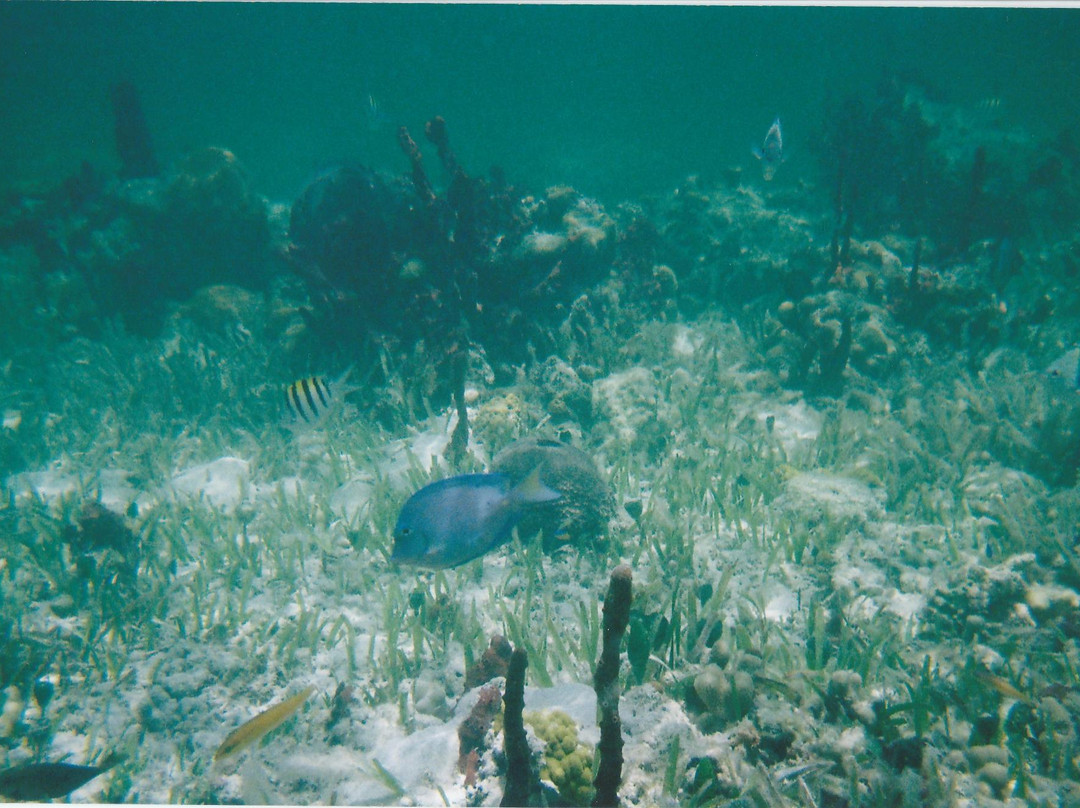 Cistern Cay Beach-伊柳塞拉必去景点