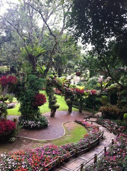 Doi Tung Royal Villa-夜发銮必去景点