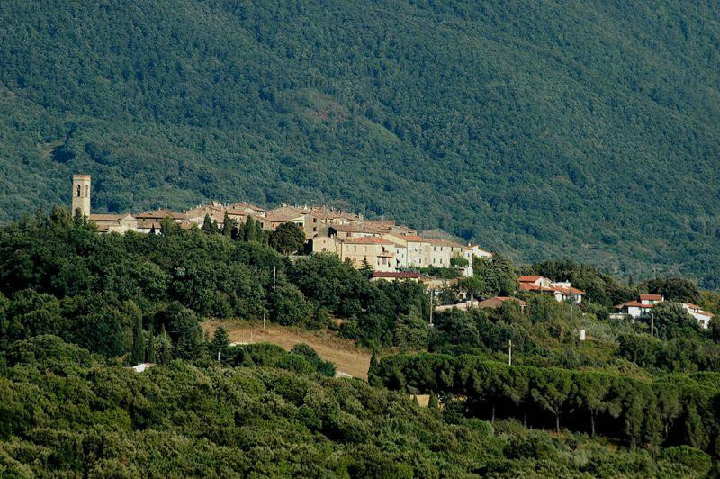 Lustignano旅游攻略图片