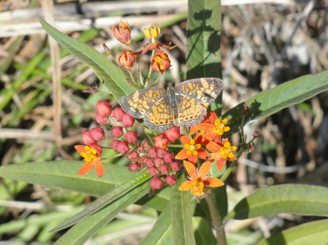 Paleo Hammock Preserve-圣露西港必去景点