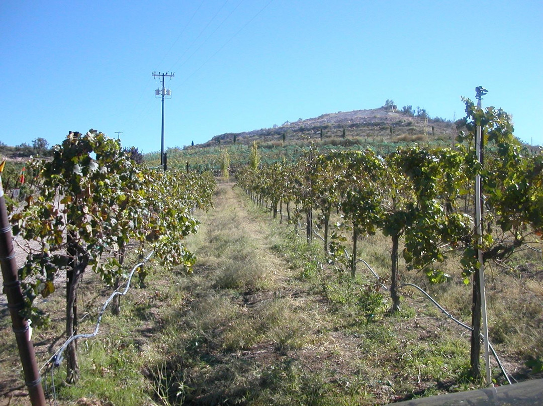 Geo Savvy Tours- Day Tours-Buckeye必去景点